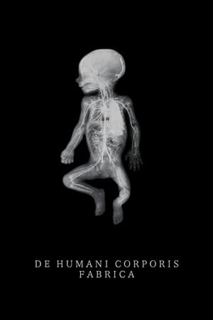 Nonton Film De Humani Corporis Fabrica (2023) Terbaru Nonton Film De Humani Corporis Fabrica (2023) Terbaru