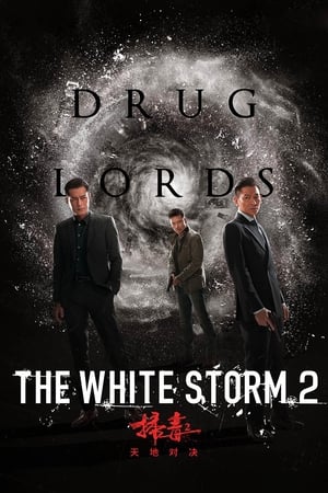 Nonton Film The White Storm 2: Drug Lords (2019) Terbaru