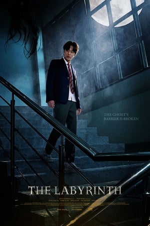 Nonton Film The Labyrinth (2021) Terbaru