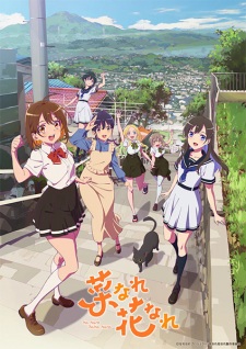 Nonton Film Na Nare Hana Nare Terbaru