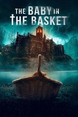Nonton Film The Baby in the Basket (2025) Terbaru