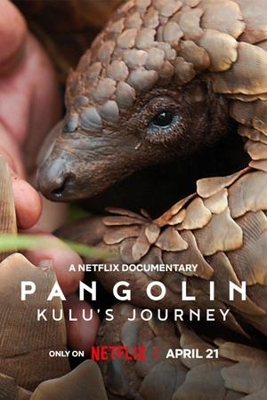 Nonton Film Pangolin: Kulu’s Journey (2025) Terbaru
